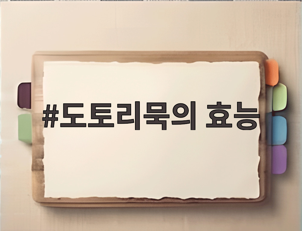 도토리묵의 효능