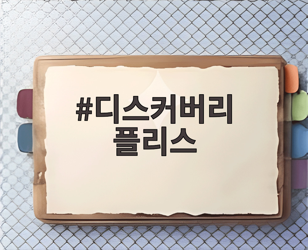 디스커버리 플리스