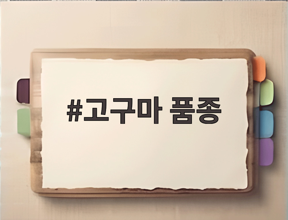 고구마 품종