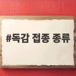 독감 접종 종류 왜 3가 4가로 나뉠까 접종 전 확인할 내용 독감 접종 종류