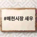 매천시장 새우 이 가격에 이 크기면 매일 가야 하는 이유 매천시장 새우