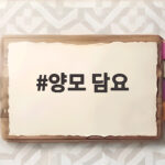 양모 담요 하나로 가을밤을 포근하게 준비하는 법 양모 담요