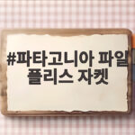 파타고니아 파일 플리스 자켓 입어보고 알게 된 사이즈와 핏 파타고니아 파일 플리스 자켓
