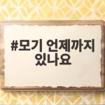 모기 언제까지 있나요 10월 실내 모기 이렇게 대처하세요 모기 언제까지 있나요