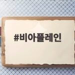 비아플레인