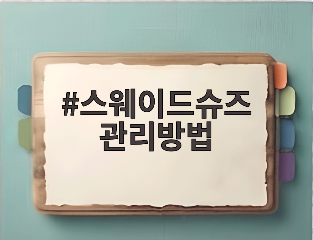 스웨이드슈즈 관리방법