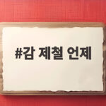 감 제철 언제