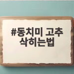 동치미 고추 삭히는법 소금물 비율만 알면 끝물 고추로 쉽게 담가요 동치미 고추 삭히는법