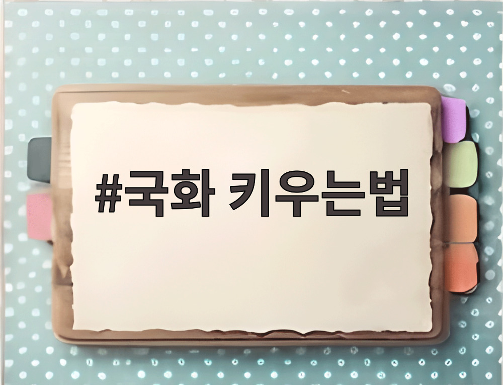 국화 키우는법