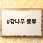 감나무 종류