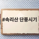 속리산 단풍시기