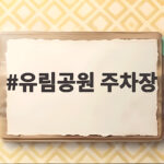 유림공원 주차장 미리 알면 국화축제가 편해지는 이유 유림공원 주차장