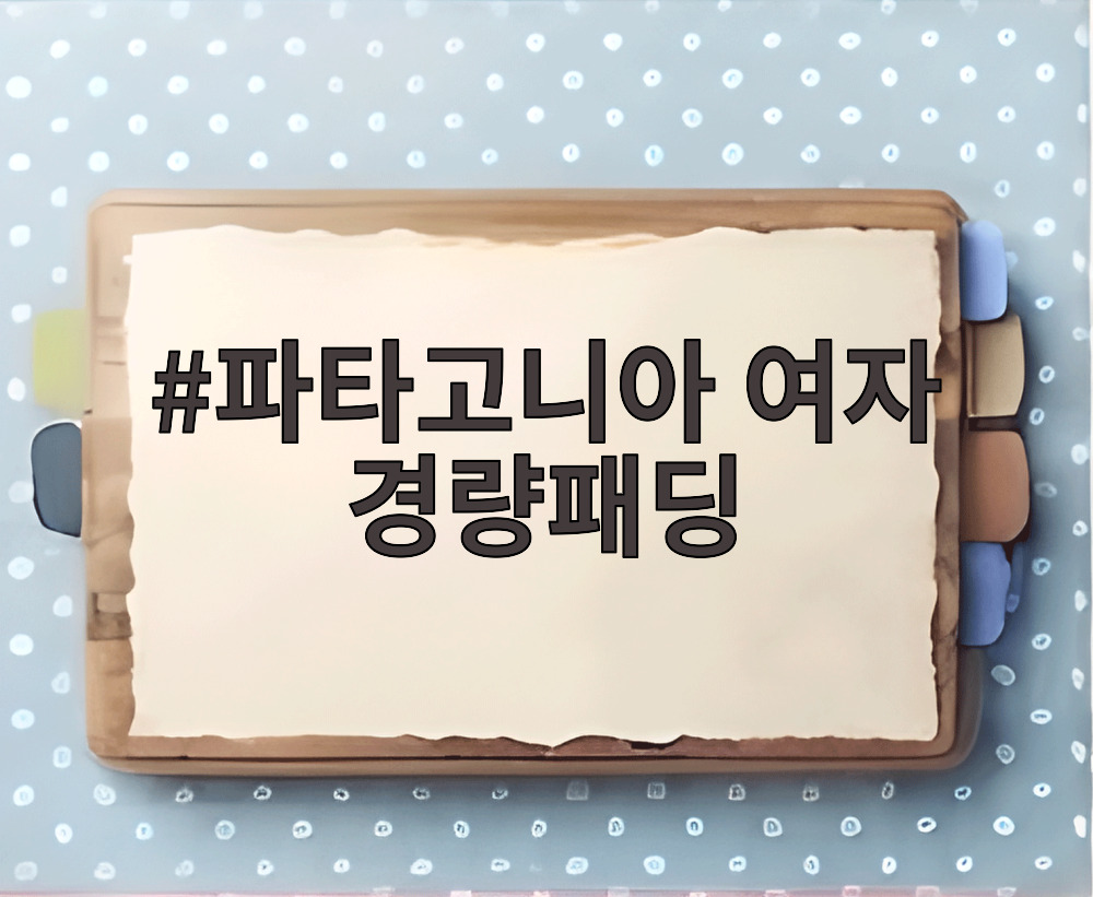 파타고니아 여자 경량패딩