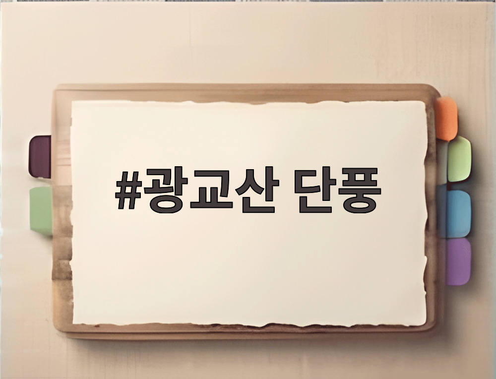 광교산 단풍