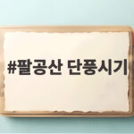 팔공산 단풍시기