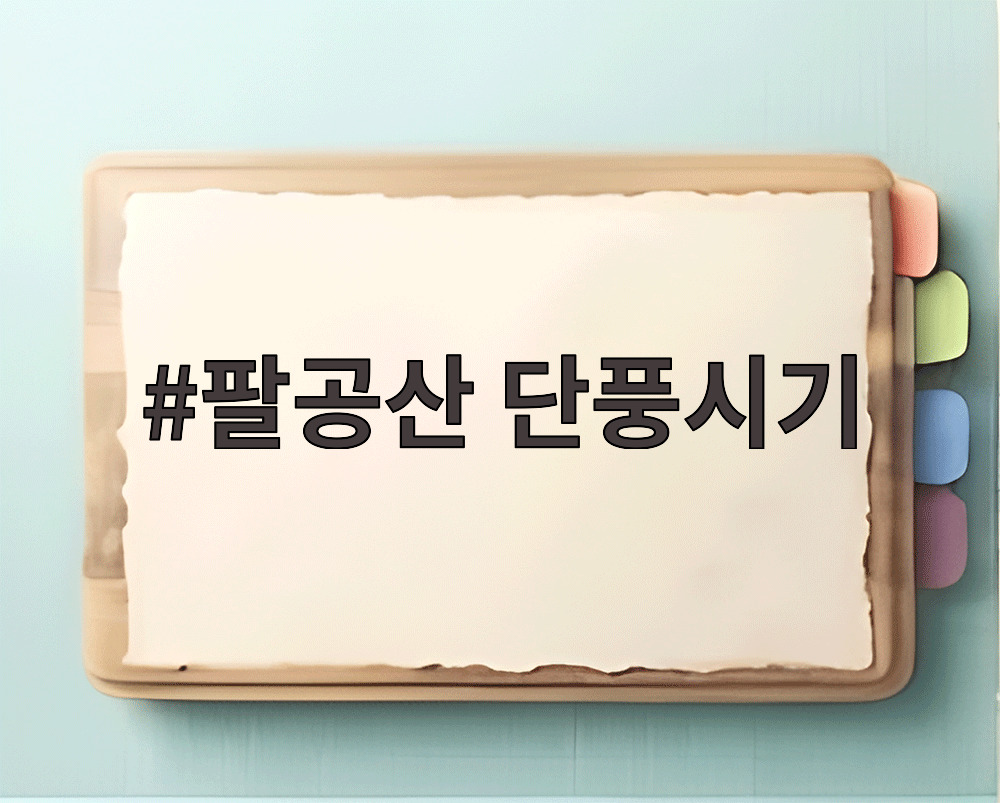 팔공산 단풍시기