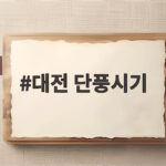대전 단풍시기