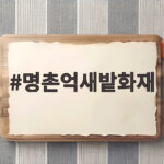 명촌억새밭화재 가을 억새가 다시 핀 이유와 안전하게 즐기는 방법 명촌억새밭화재