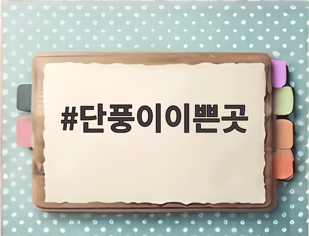 단풍이이쁜곳