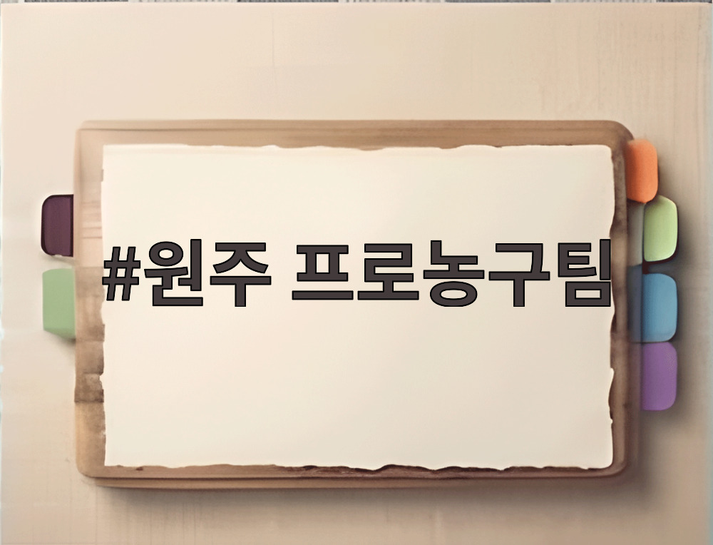 원주 프로농구팀