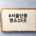 서울단풍 명소25곳