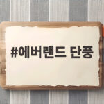 에버랜드 단풍