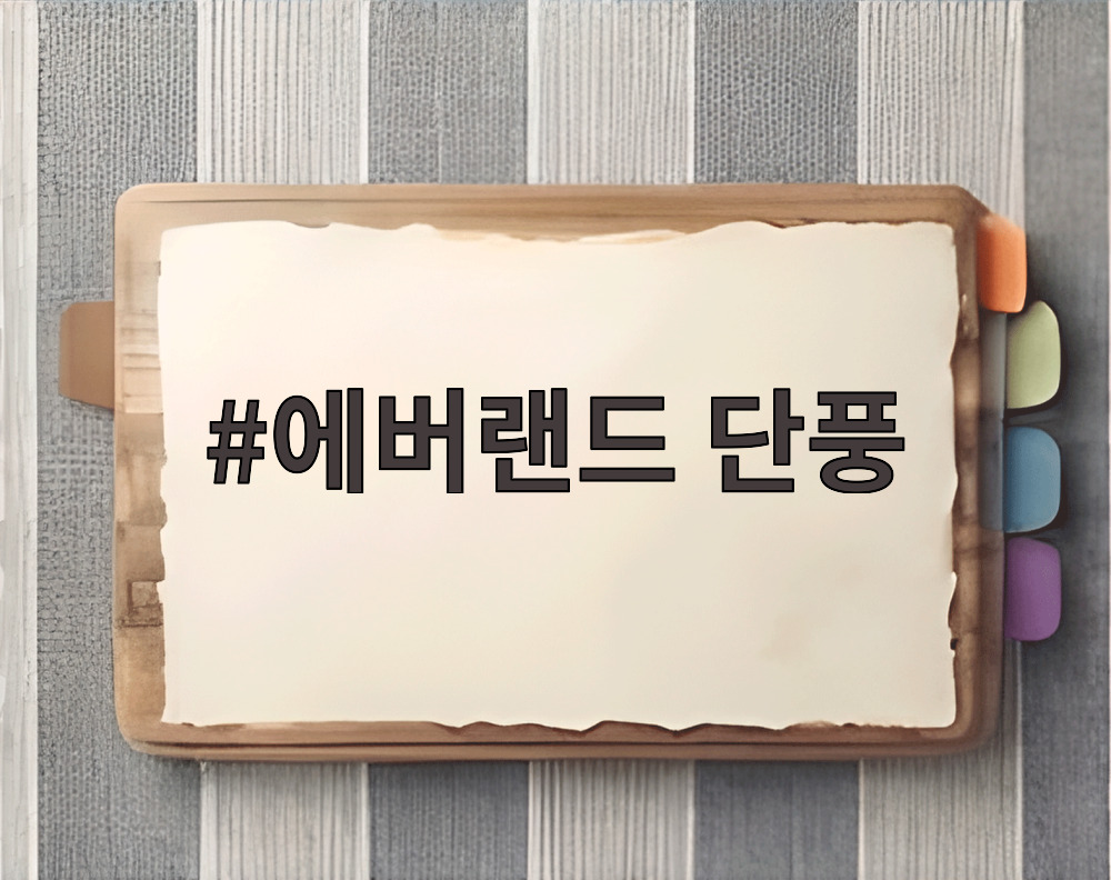 에버랜드 단풍