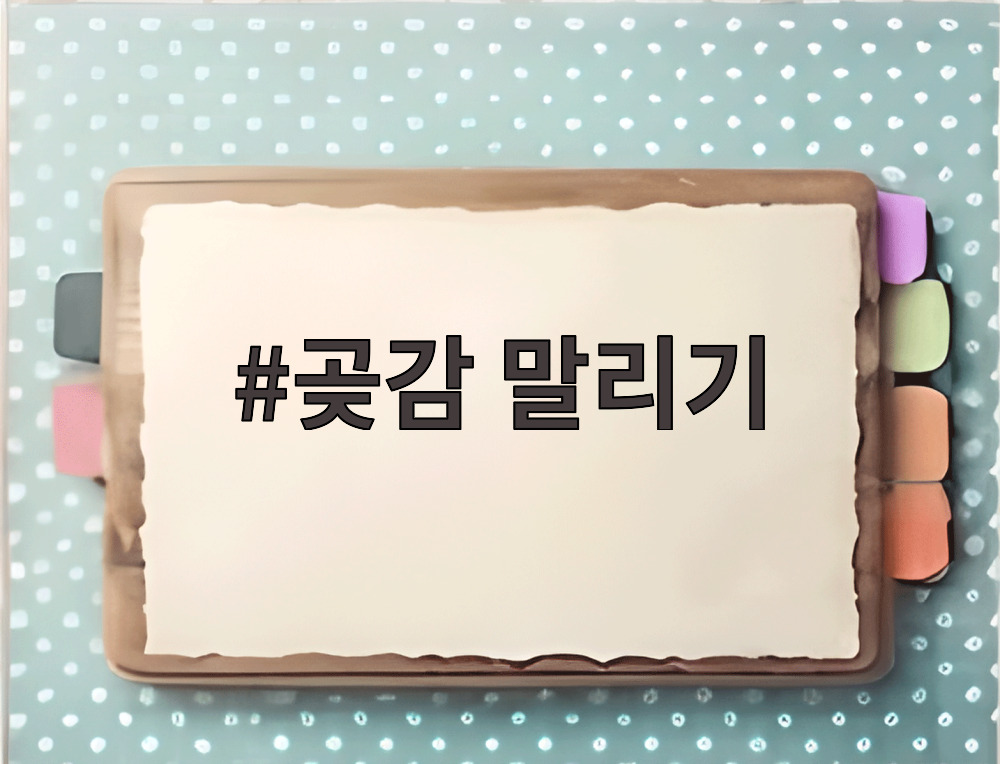 곶감 말리기