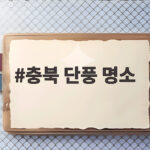 충북 단풍 명소