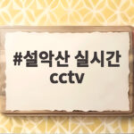 설악산 실시간 cctv