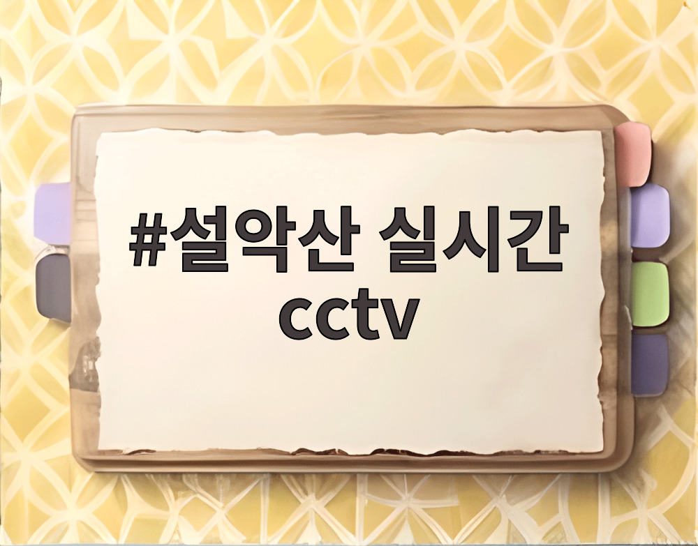 설악산 실시간 cctv
