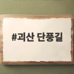 괴산 단풍길 절정 시기와 놓치면 아쉬운 가을 명소 총정리 괴산 단풍길