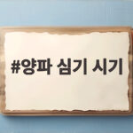 양파 심기 시기 언제가 좋을까 모종 심는 방법과 간격 양파 심기 시기