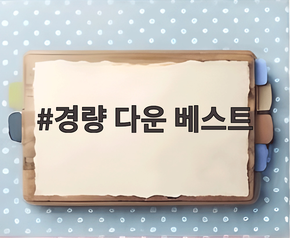 경량 다운 베스트