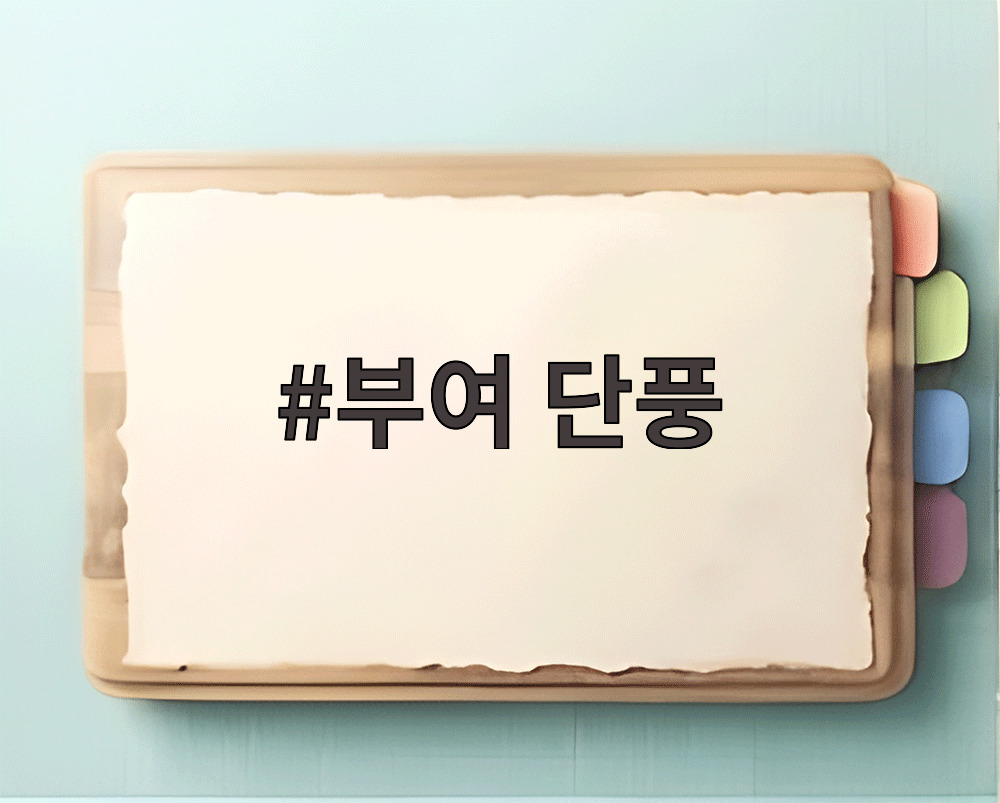 부여 단풍