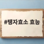 탱자효소 효능