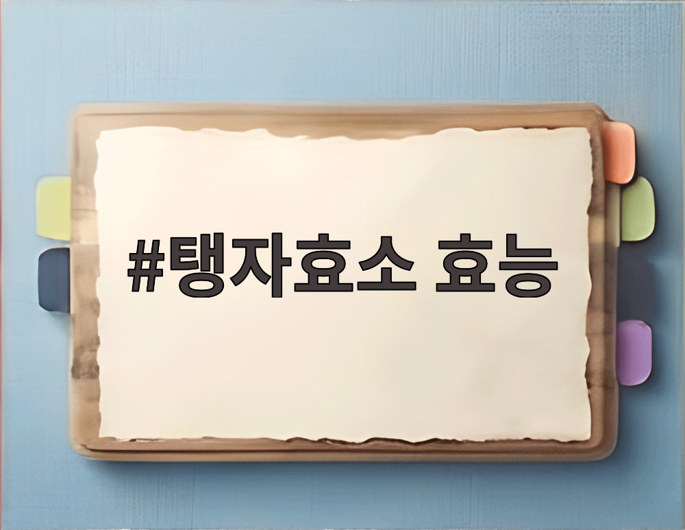 탱자효소 효능
