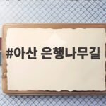 아산 은행나무길