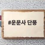 운문사 단풍