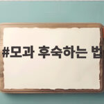 모과 후숙하는 법 푸른 모과를 황금빛으로 바꾸는 시간 모과 후숙하는 법