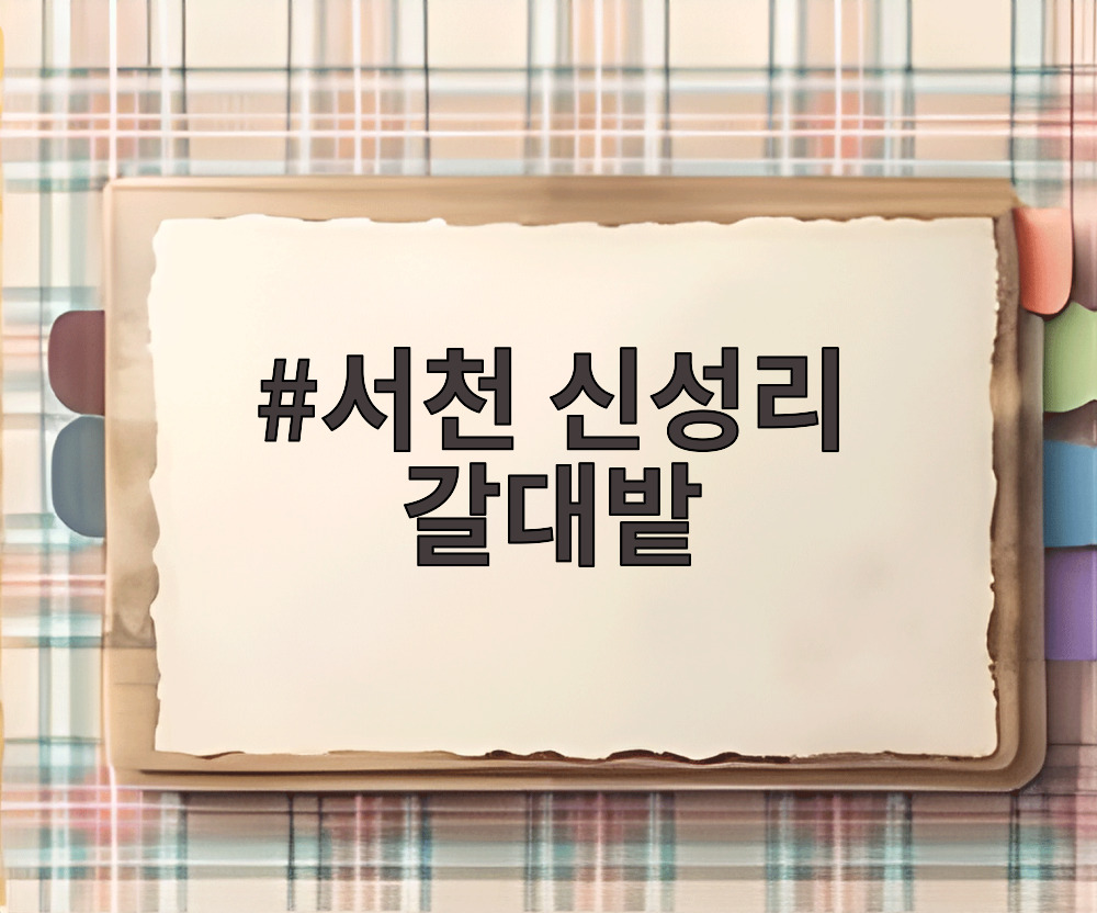 서천 신성리 갈대밭