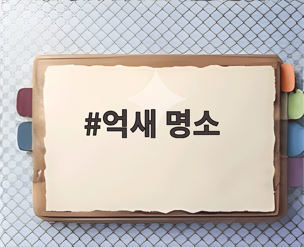 억새 명소