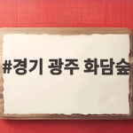경기 광주 화담숲