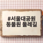서울대공원 동물원 둘레길 단풍 속 힐링 산책 코스 총정리 서울대공원 동물원 둘레길