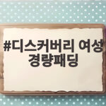 디스커버리 여성 경량패딩 직접 입어보고 고른 스타일과 사이즈 팁 디스커버리 여성 경량패딩