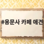 용문사 카페 애견