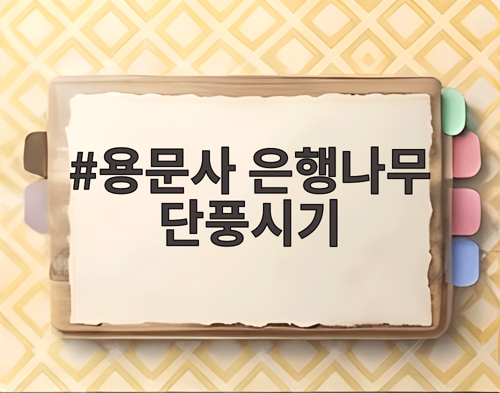 용문사 은행나무 단풍시기