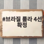 브라질 룰라 4선 확정