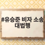유승준 비자 소송 대법행