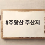 주왕산 주산지 300년 왕버들 물안개 풍경이 궁금하다면 주왕산 주산지
